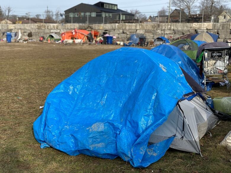 Several tents, including a blue tent as a focus, pictured on a plot of land.