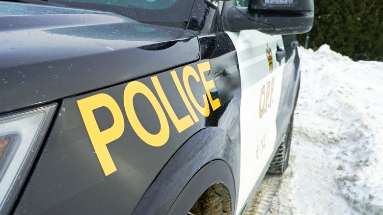 A police car in the snow