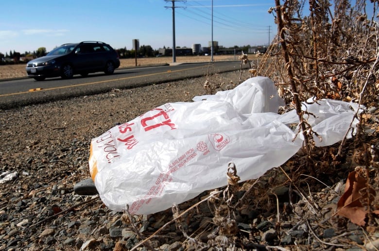 A plastic bag with red markings on it sides on dry grass next to a road.