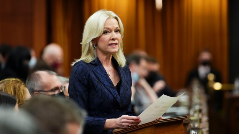 A woman standung in the House of Commons.