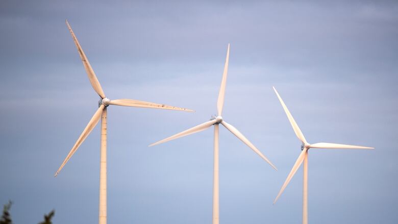 The West Pubnico Point Wind Farm is seen in Lower West Pubnico, N.S., on Monday, Aug. 9, 2021. The operation includes 17 Vestas V-80 turbines that produce 30.6 megawatts of electricity, enough to power more than 9,000 homes. There are more than 300 commercial wind turbines generating electricity in the province.