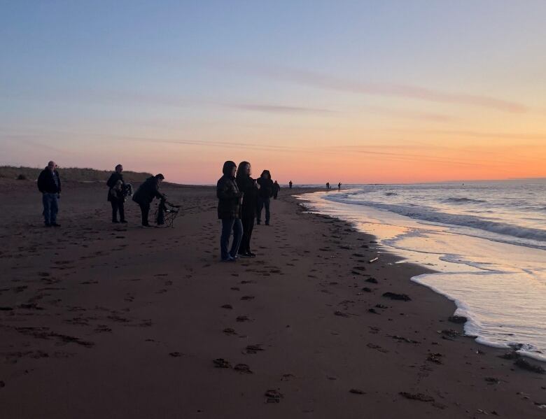 People standing on a beach watching lobster boats leaving for setting day 