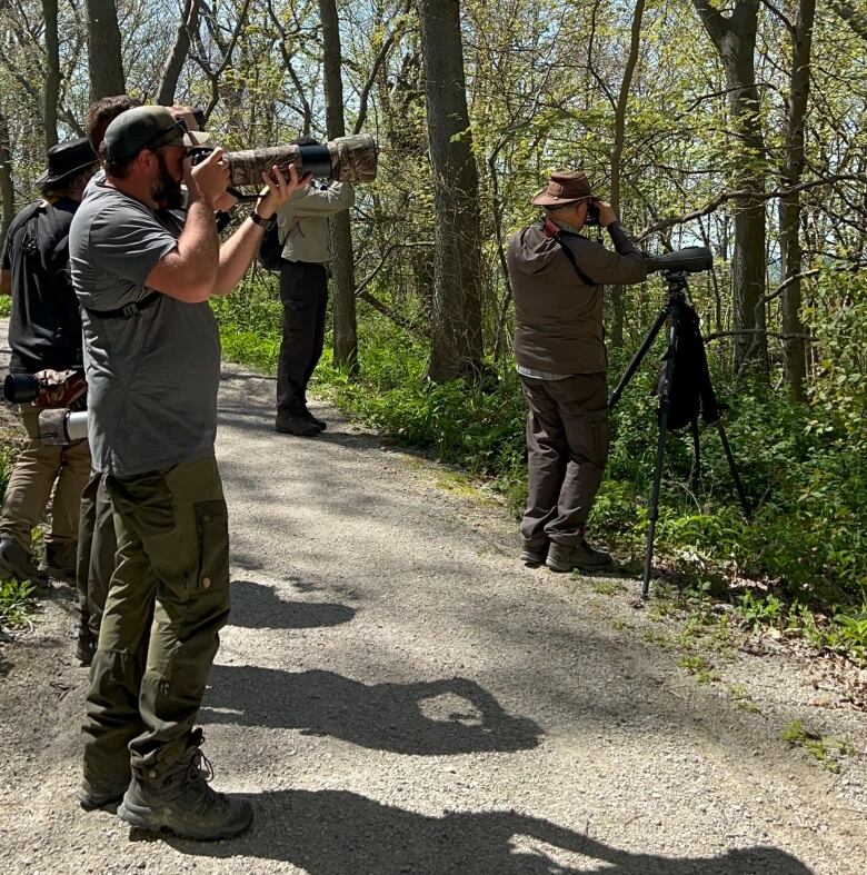 Birders with cameras.