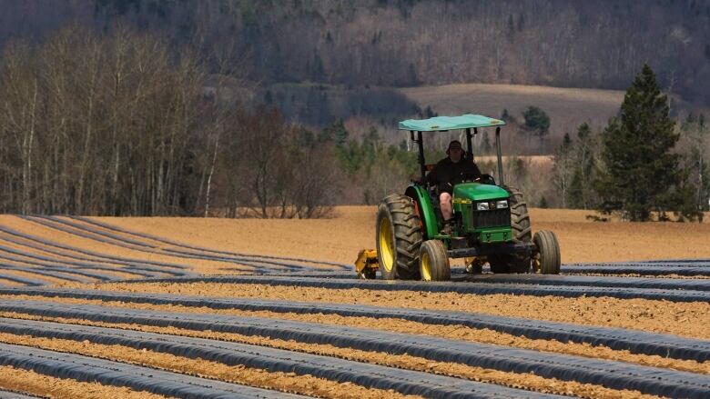 A farmer sits in a tractor that is moving along fields on a farm. The field is split into rows and trees and hills may be seen in the background.