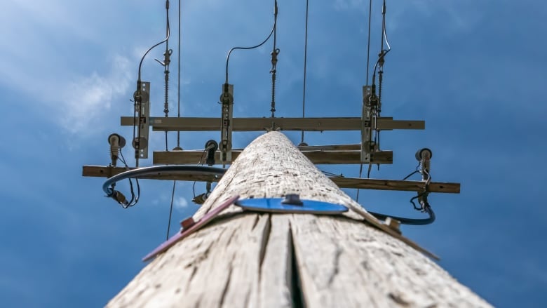 An image of a hydro line in Alberta