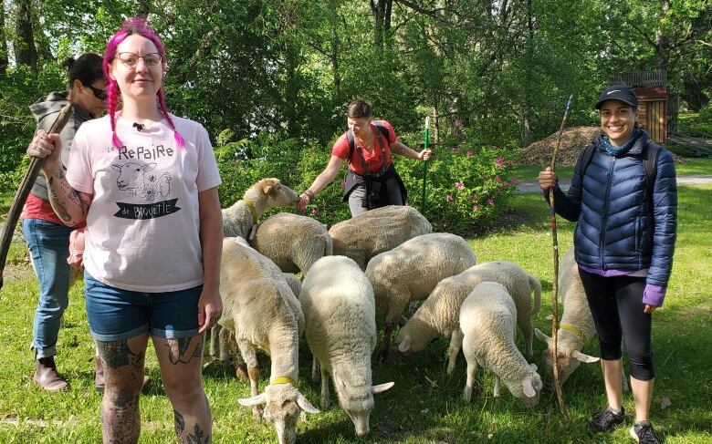 Four women and several sheep in park