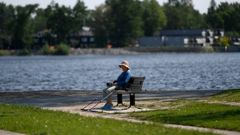 A person sits on a bench overlooking the water on a sunny day. 