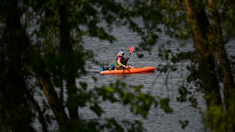 A kayaker on a body of water is partially obscured by tree branches.