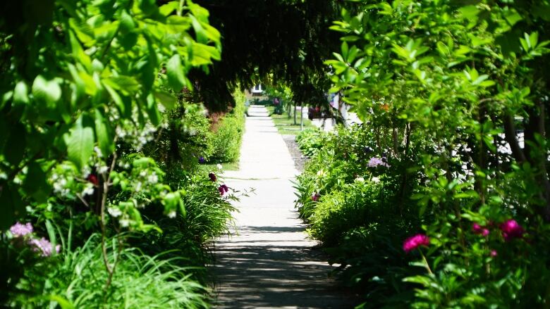 naturalized yard