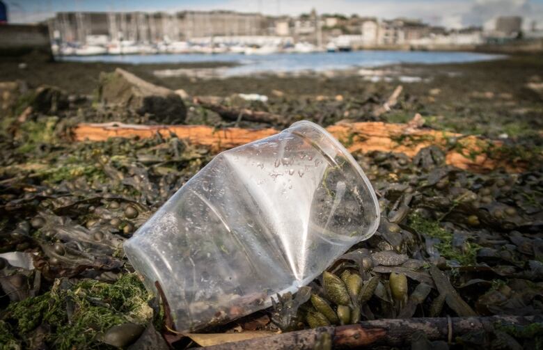 A plastic cup is pictured on a beach.