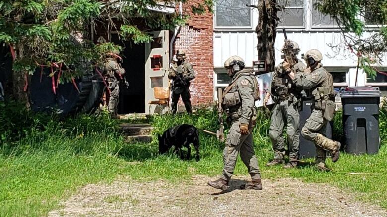 Five heavily armed officers, dressed in camouflage gear and with a police dog, stand near an open door leading inside a building.