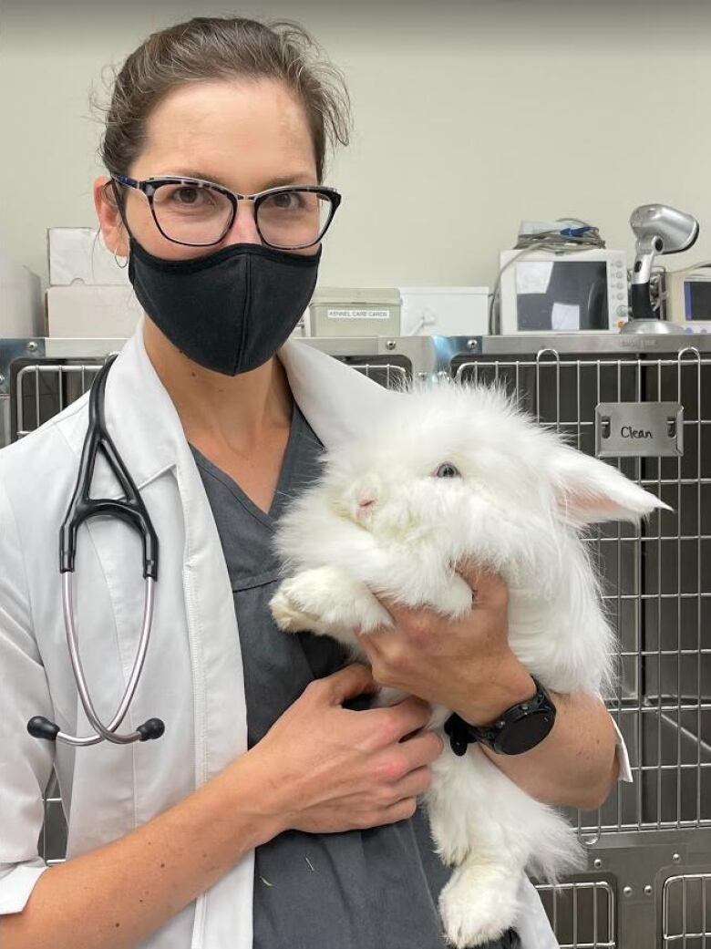 A veterinarian holds a fluffy white rabbit. 