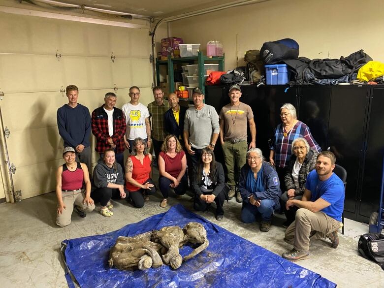 A group of people pose behind a tarp that has the preserved remains of a small mammoth on it.