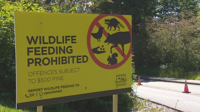 The Vancouver Board of Parks and Recreation has erected several signs like this in Stanley Park to deter feeding wild animals in the park, which is illegal.