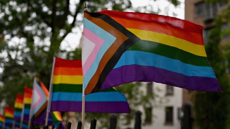 A row of various LGBTQ+ pride flags.