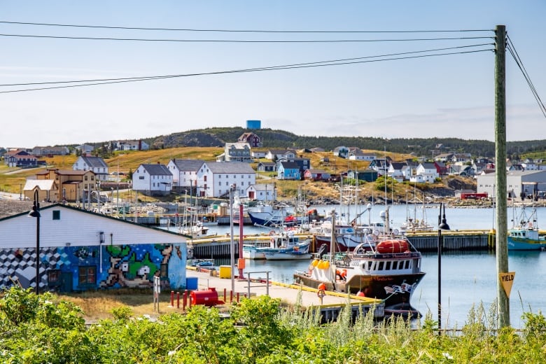 A scenic view of a community on a harbour front with boats in the water and houses in the background. 