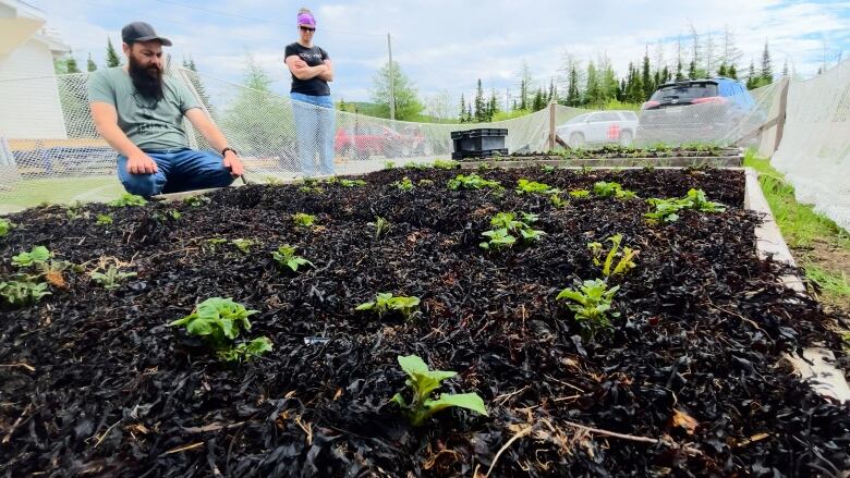 David and Jenna Elson stand looking at their garden boxes outside of their home in Cartwright, NL. 