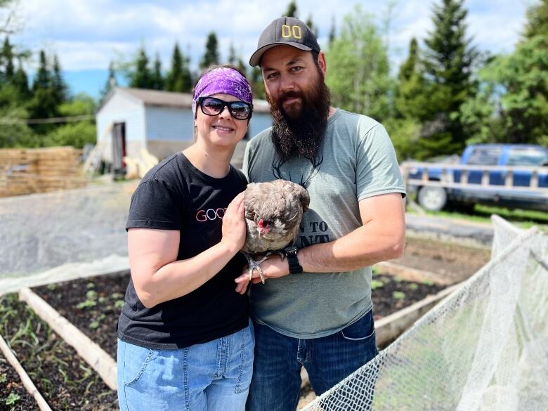 Jenna and David Elson stand holding a chicken in front of their garden boxes. They have nets surrounding their boxes because they found rabbits and bears don't like the nets and will stay away. 