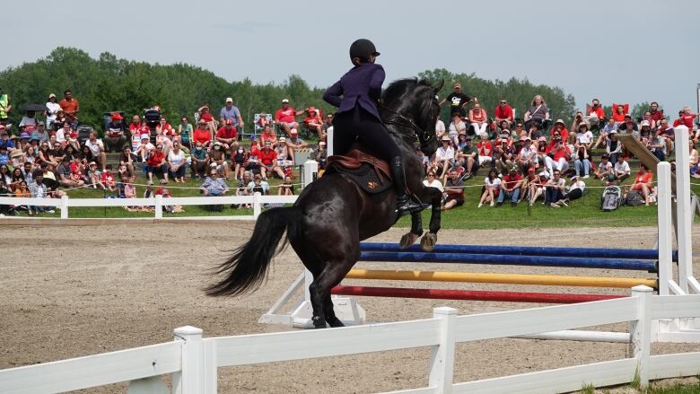 A rider and horse jump over an obstacle.