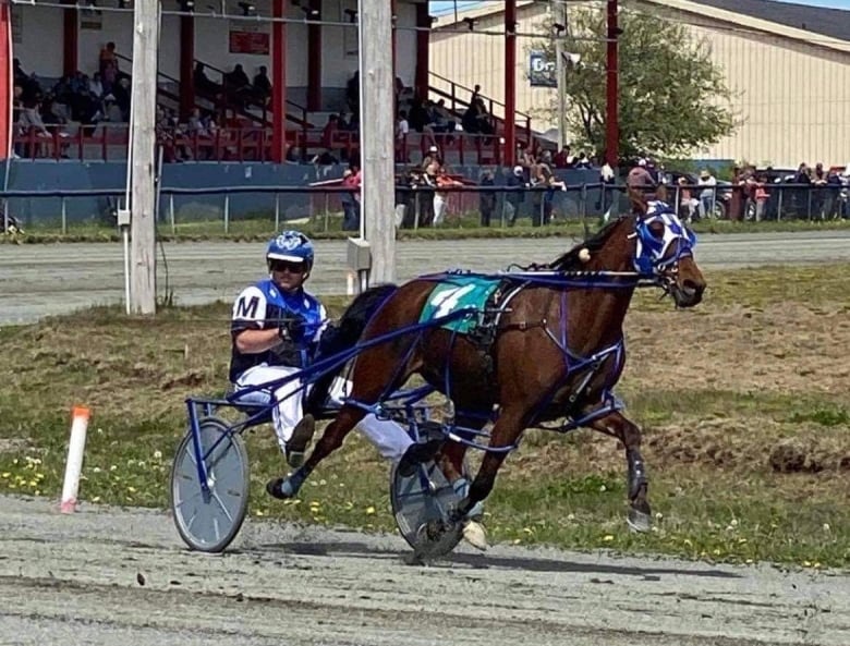 One horse and driver on horse racing track.