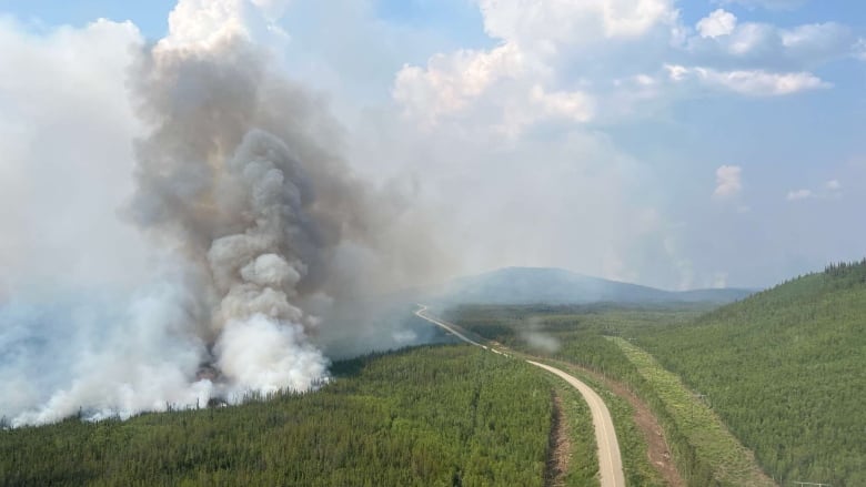 A fire burns in a forest beside a highway.