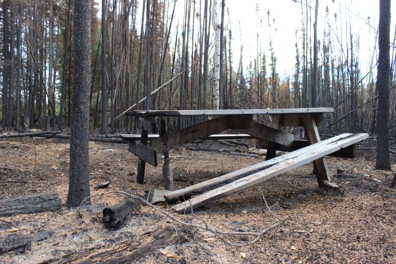 A damaged picnic table with a broken and charred bench, surrounded by ash and burned trees.