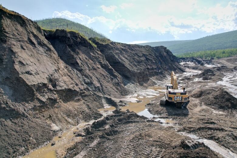 An excavator on the side of a creek.