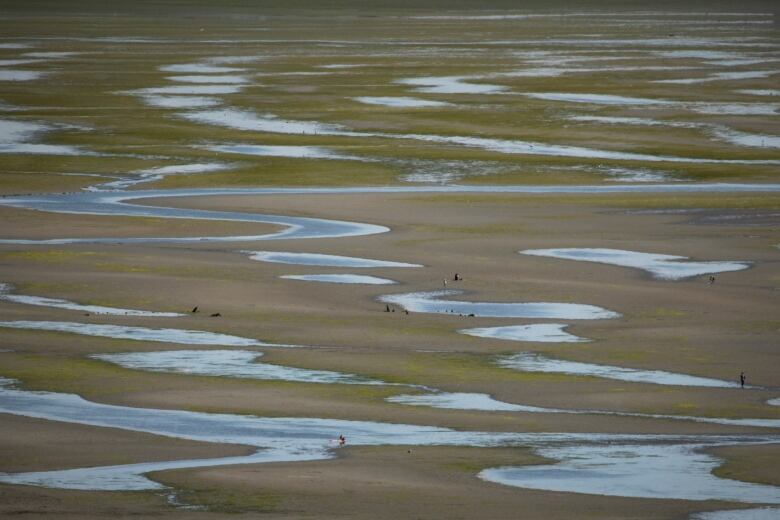 People are pictured walking along tide pools during a low tide in White Rock, British Columbia on Wednesday, July 13, 2022. 