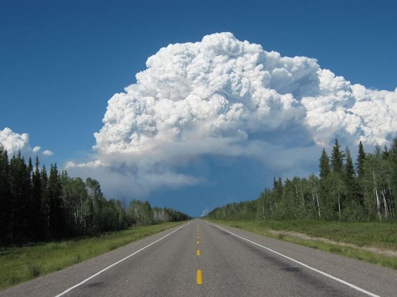 A giant stormcloud looms high in the sky over a road through a forest.