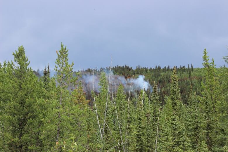 A small plume of smoke rises above a stand of green trees against a hazy blue sky.