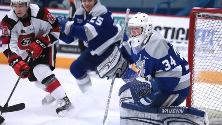 Sudbury Wolves goalie David Bowden reacts to a play as skaters jostle in front of the net.