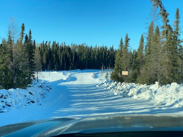 A Northern Ontario ice road cuts through a forest of black spruce.