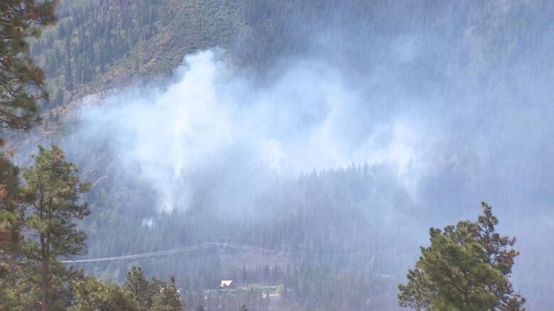 A smoky atmosphere with trees in the background.