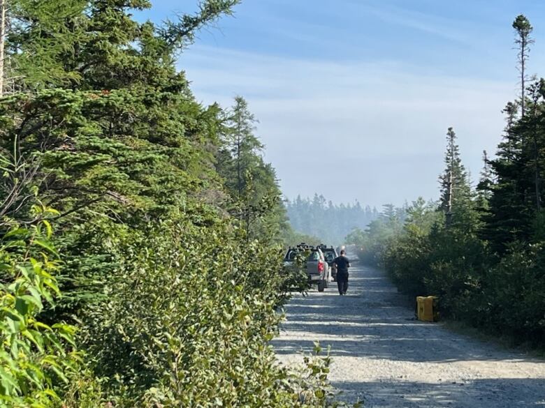 A lone person walks along a dirt road, on a sunny day in the woods. The air is still choked with smoke from the fire.