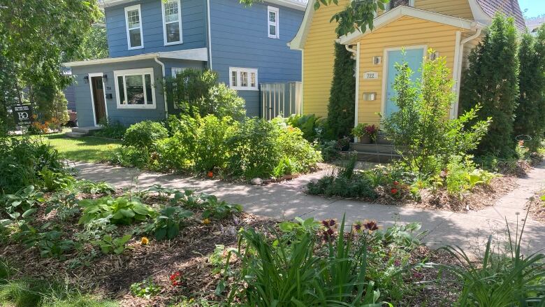 Every inch of the yard of a small yellow home and the boulevard in front of it are filled with shrubs, flowers, and native prairie plants.