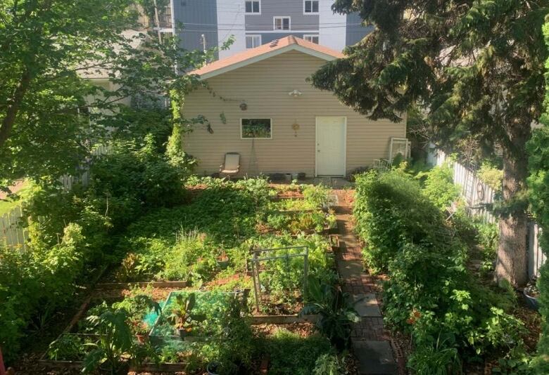 Looking down from the roof of a home, a backyard is filled with a wide variety of bushes, shrubs, flowers, herbs and native prairie plants. Some are planted in open earth and some are planted in boxes or within barriers. A cement block walkway extends to the garage, which has a number of hanging ornaments attached to the wall. A lawn chair sits in front of the garage.