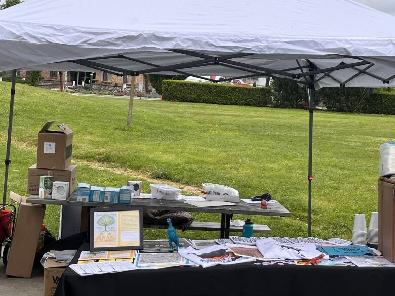 A series of boxes, educational materials, art, and other paraphernalia are visible beneath a white tarp in a park.