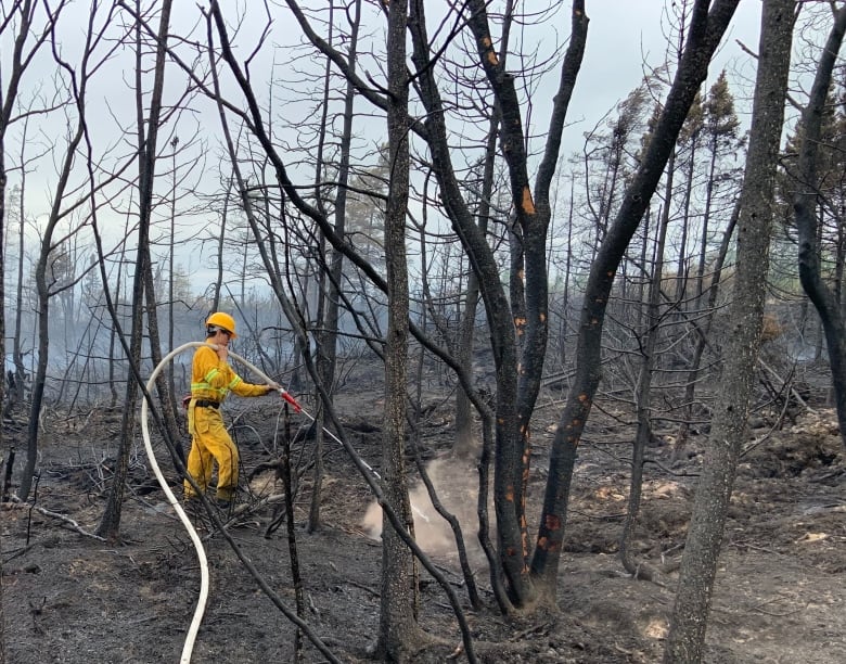 A firefighter sprays the ground with water from a hose. He is standing on blackened earth and surrounded by charred trees and smoke.