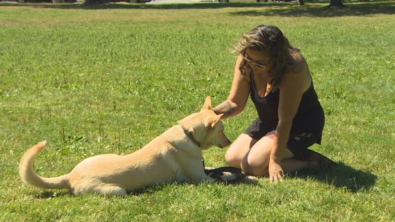 May Chao plays with a sandy-coloured dog on a grassy field.