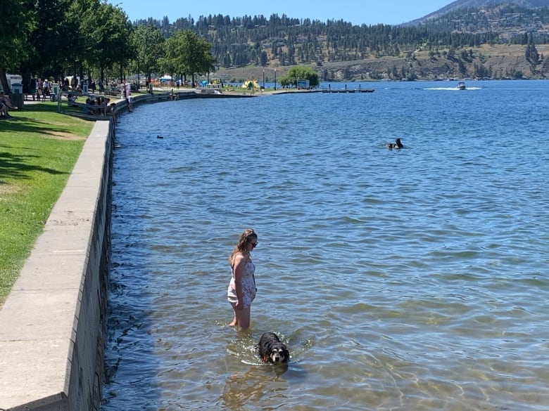 A woman and a black dog, with the pup paddling in knee-length water.