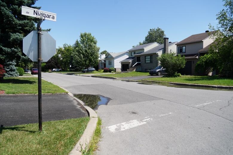 There are several houses on a street.