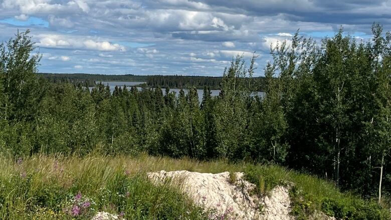 Gravel hill, treeline, and water in the background.