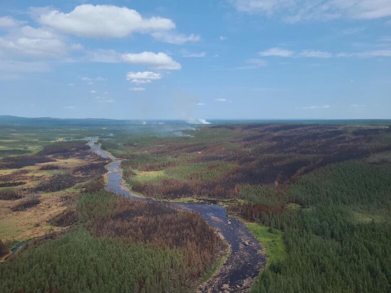 A river runs through burned-out areas of forest.