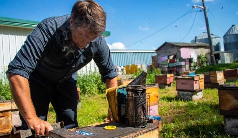 Person bent over a hive, more hives in background.