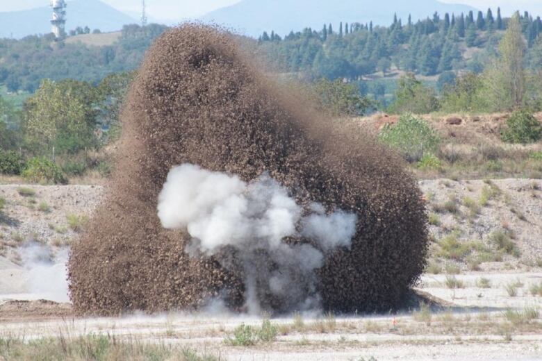 A plume of dirt and a small cloud of smoke rise from the ground. 