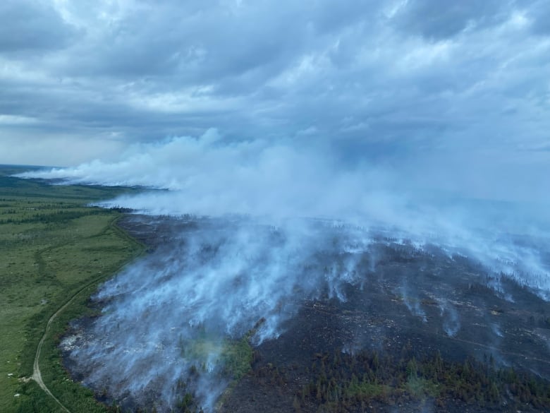 Smoke rising from forest