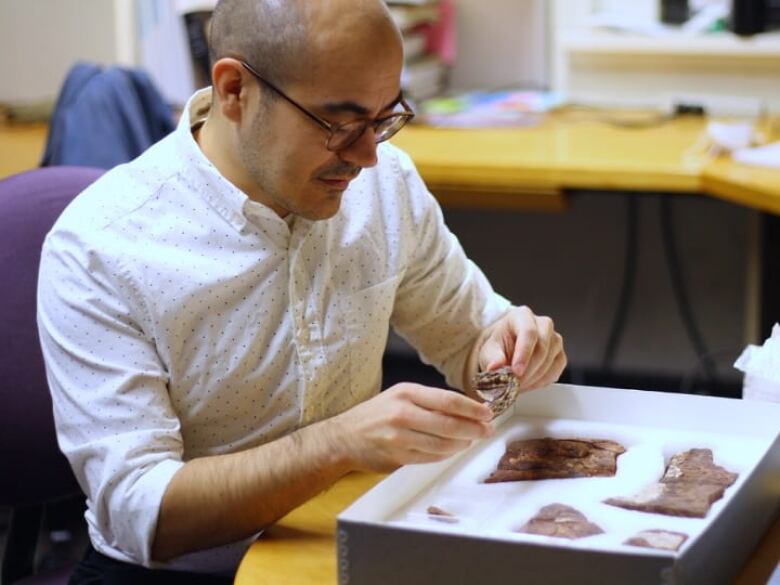 A portrait of a man looking at a fossil in his hands.