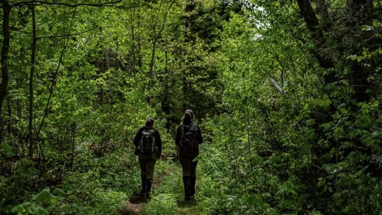 Two people walking through a forest