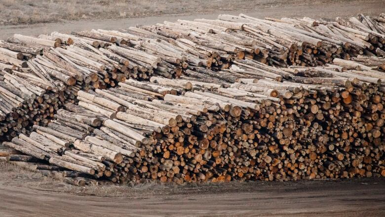 Piles of logs are pictured at a sawmill.