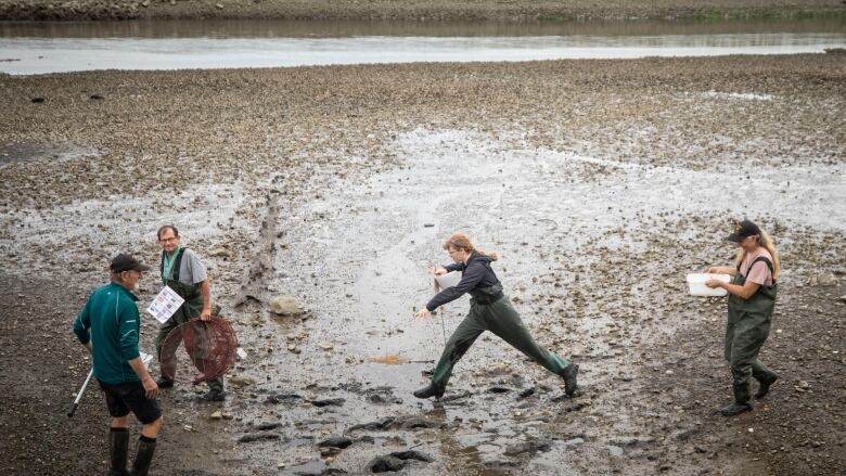 People are seen wading in muddy ground near a waterway, with instruments.